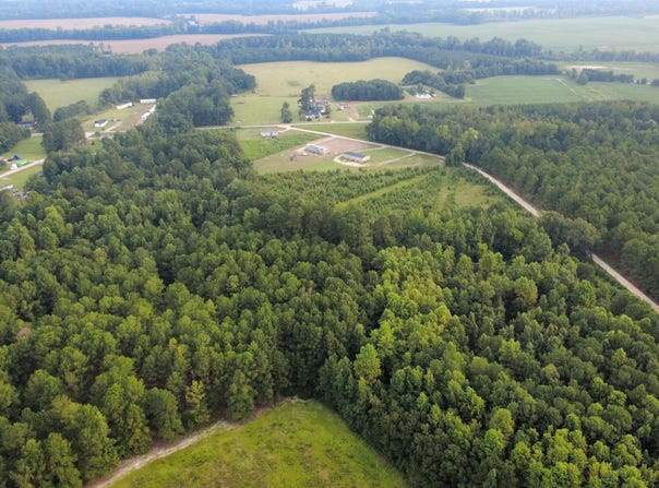 Tooge Hayes Rd., Mullins, SC 29574