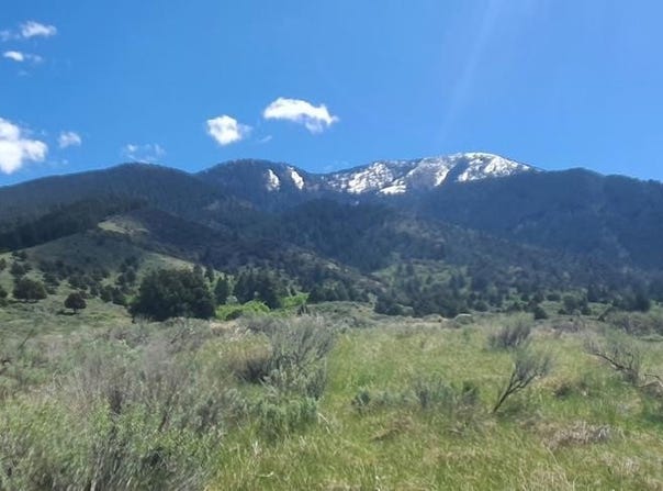 151 Elk Path, Swan Valley, ID 83428