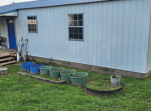 1921 63 Highway, Williford, AR 72482