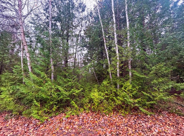 E Grand Lake Road lot: 14, Presque Isle, MI 49777
