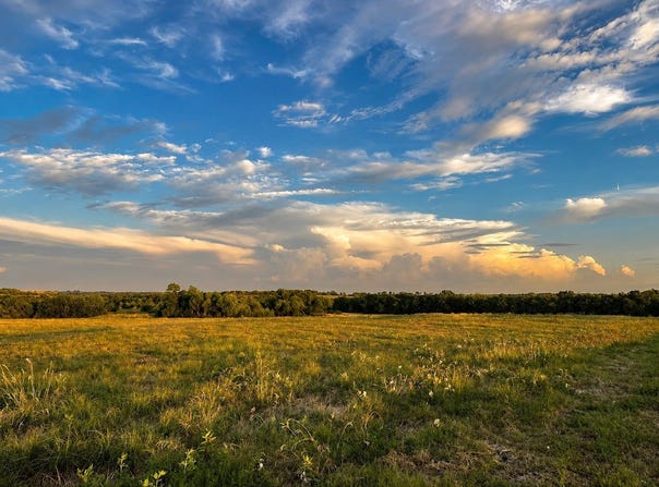 Tract C2-1 County Road 1140, Celeste, TX 75423