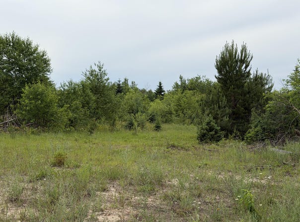 12822 M-123, MI 49868