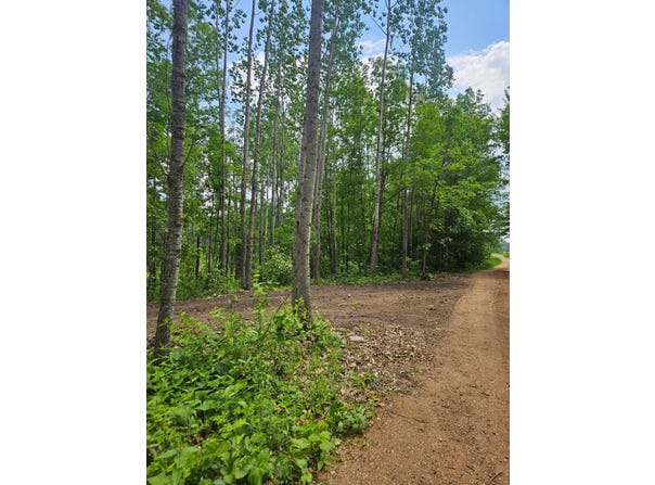 Parcel E Rogue Way, Ironton, MN 56455