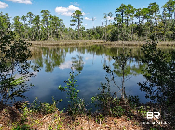 Neumann Dr, Elberta, AL 36530