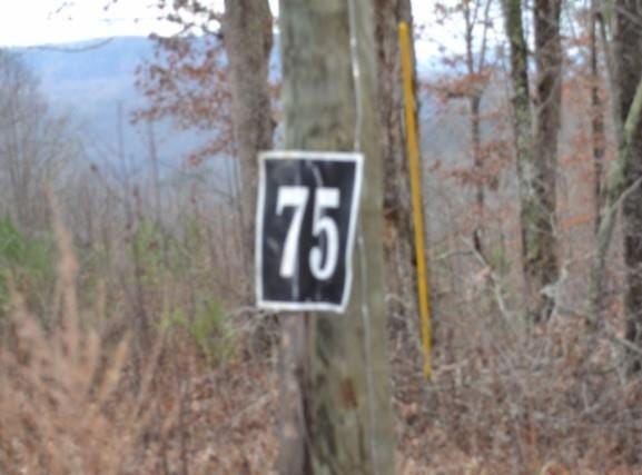 Tomahawk Rd lot: 75, Jamestown, TN 38556