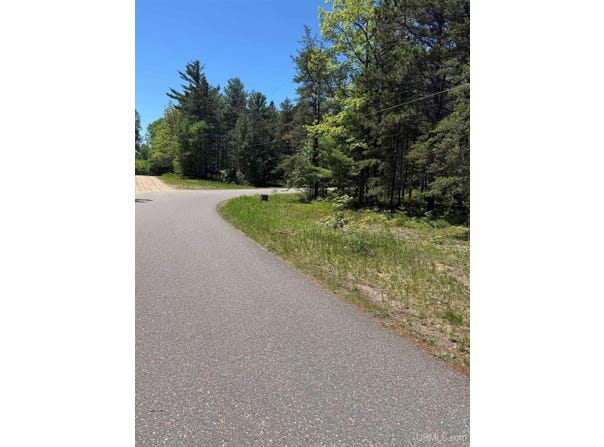 Pine View Road lot: 48, Au Train, MI 49806