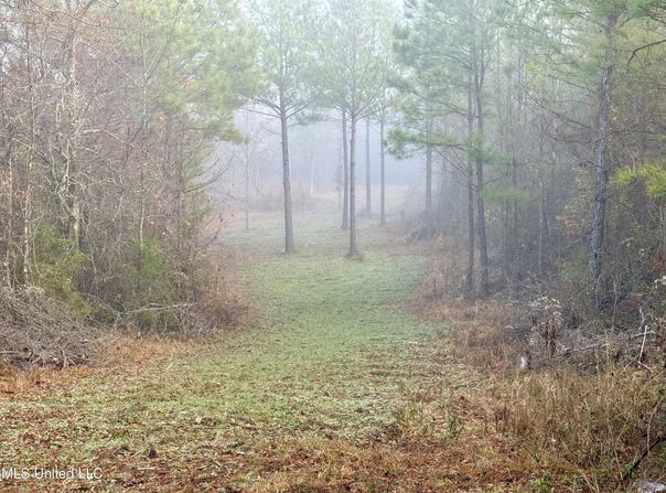 960 Old 51 Road, Pickens, MS 39146