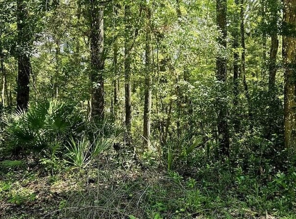 312th Ave, Old Town, FL 32680