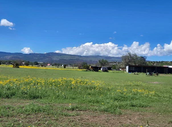 E Fleetwood Avenue, Springerville, AZ 85938