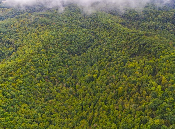 9999 Martin Hollow Road, Stanton, KY 40380