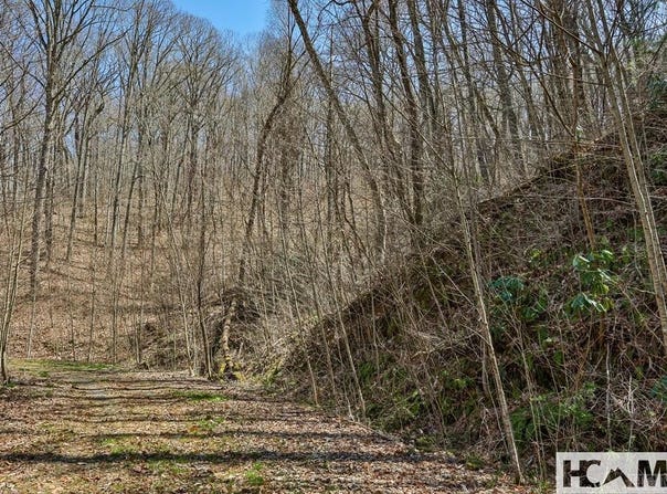 Bearwood Dr., Cullowhee, NC 28723