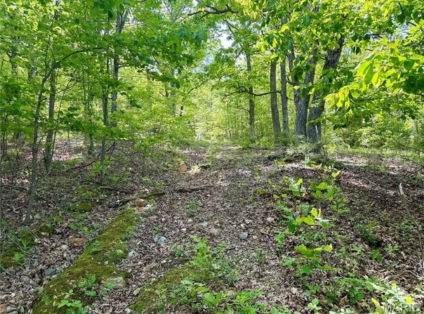 Pratt Road, Cadet, MO 63630