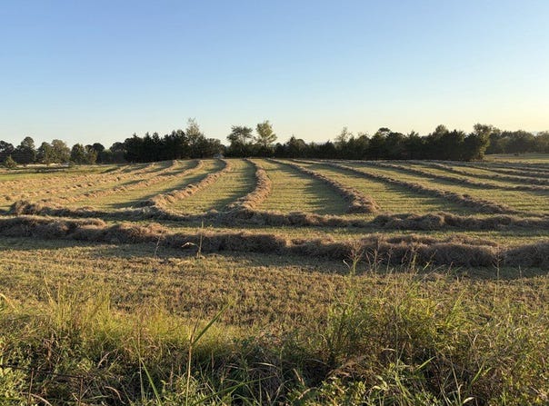 Rob Hill Road, Dardanelle, AR 72834