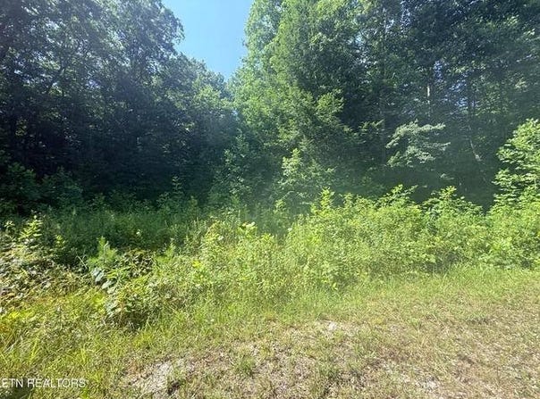 760 Dubose Dr, Jamestown, TN 38556