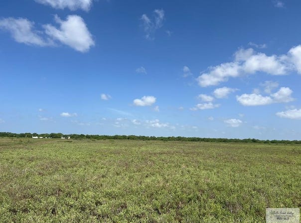BOSQUE AVE, LOS FRESNOS, TX 78566