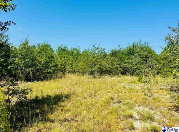 Newman Lane, Jefferson, SC 29718