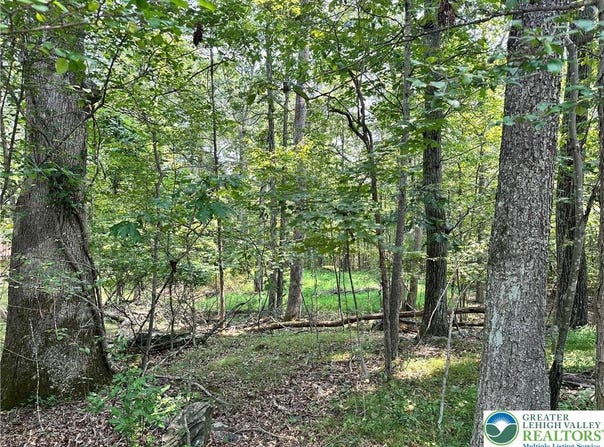 Timber Hill Road, Price Twp, PA 18332