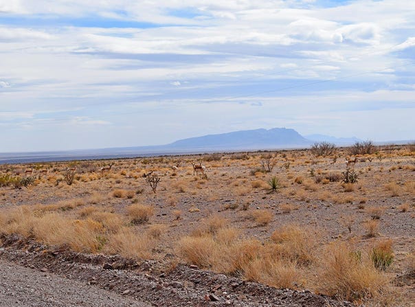 Rolling Hills lot: 124, San Antonio, NM 87832
