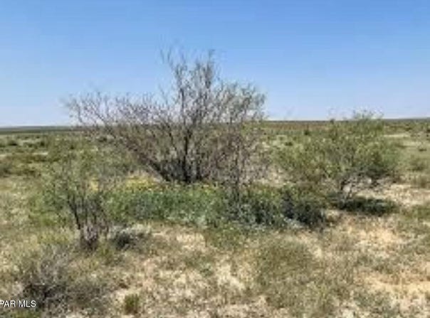 Sierra Blanca, TX 79851