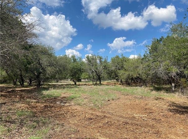 33400 Brooks Ranch Rd, Austin, TX 78620