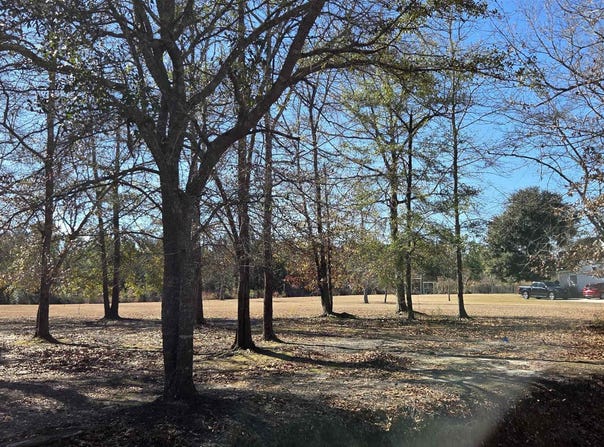 59 Fiddlers Loop, Georgetown, SC 29440