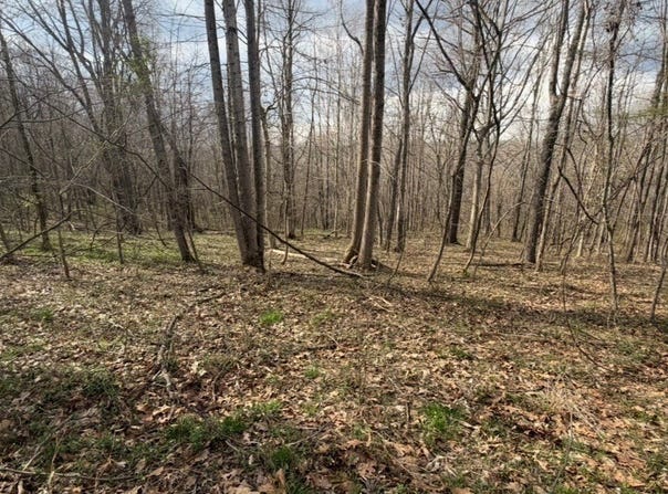 0 Wayne Lane, Thurman, OH 45685