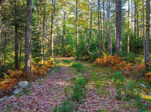 Map 17 Bear Springs Lane, Surry, ME 04684
