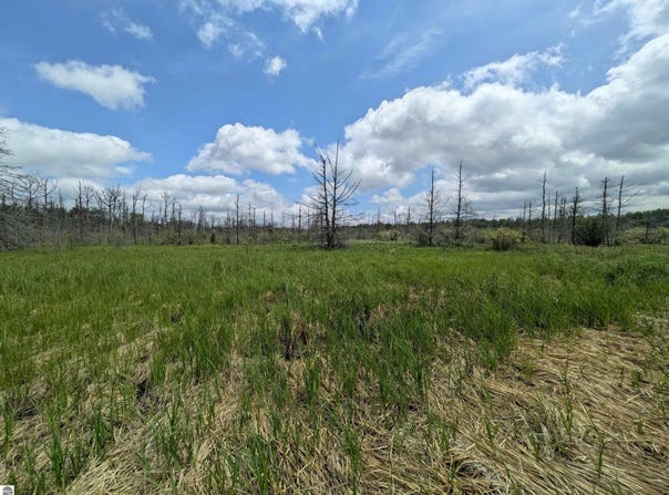 M-48, Pickford, MI 49774