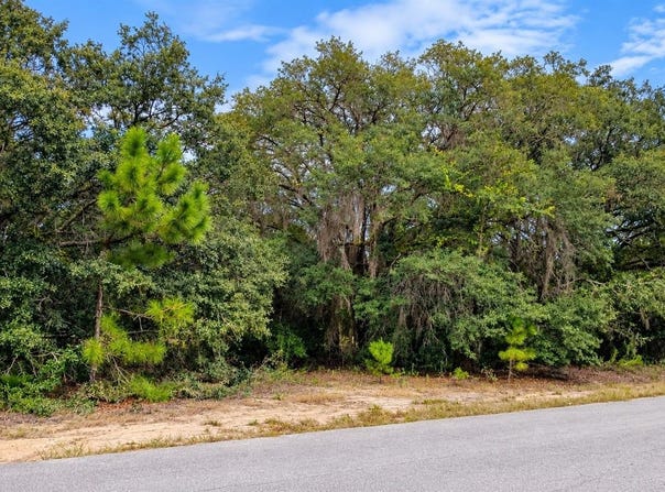 SE MALAUKA LOOP RUN Road, OCKLAWAHA, FL 32179