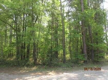 Old Arrowhead Road, Huger, SC 29450