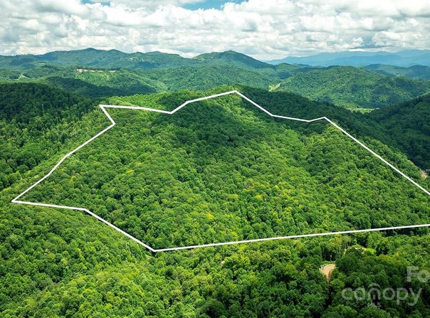 1710 Roaring Fork Road, Mars Hill, NC 28754