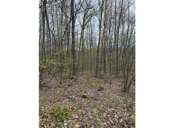 10513 Hilltop Drive, Corning, NY 14830