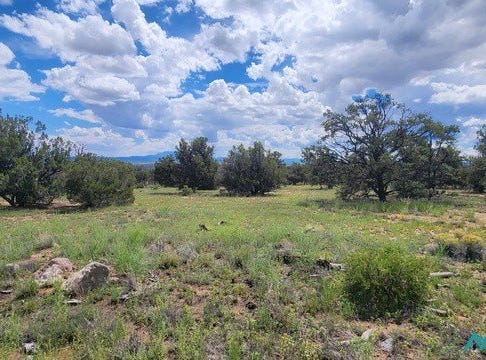 100 Squaw Pass, Quemado, NM 87829
