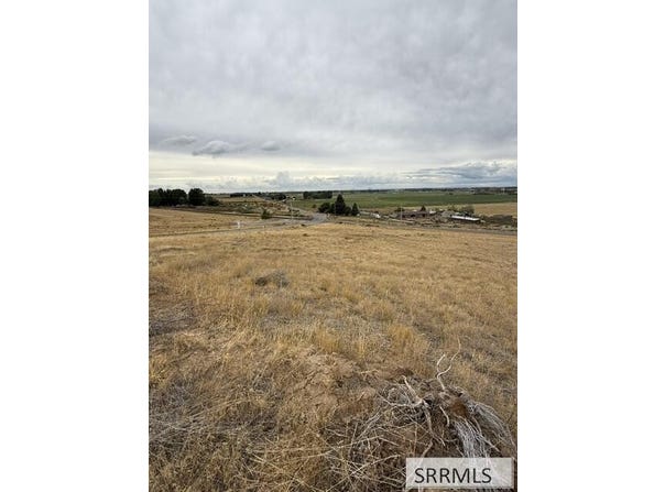 Wolverine Road, Firth, ID 83236