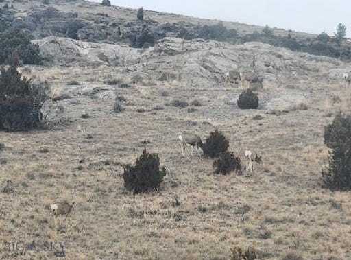 Bradley Creek Rd, Norris, MT 59745