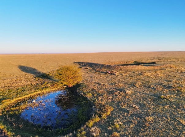 County Road 37, Hartman, CO 81047