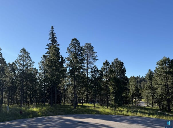 Candlewood Ct, Lead, SD 57754-9998