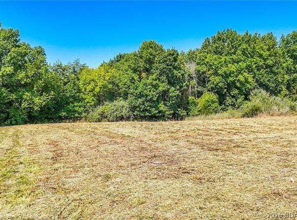 Big Sky Drive lot: #40, MO 65043