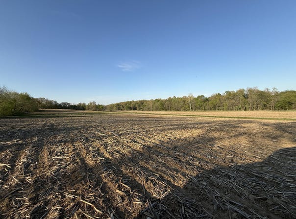Carter Road, Mayfield, KY 42066