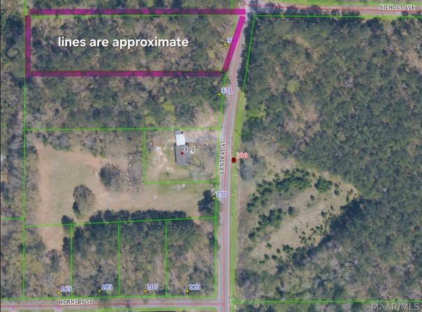 343 Central Avenue, Eclectic, AL 36024
