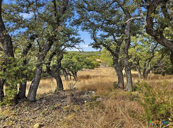 County Road 162, Evant, TX 76525