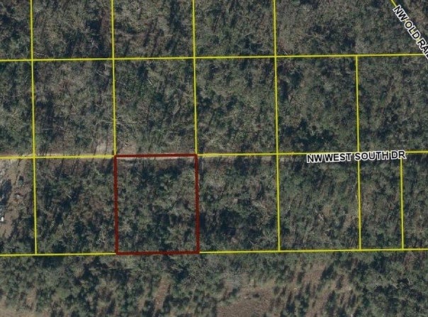 NW W SOUTH DRIVE, Mayo, FL 32066