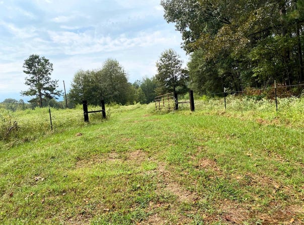 317 HIGH ST, WINTHROP, AR 71866
