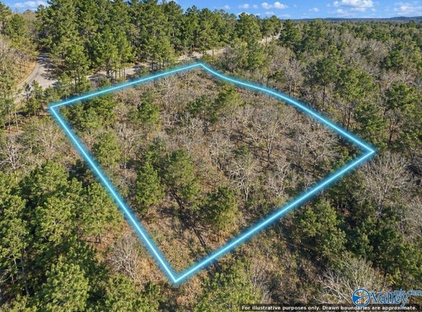 0.5 Poplar Ridge Road, Oneonta, AL 35121