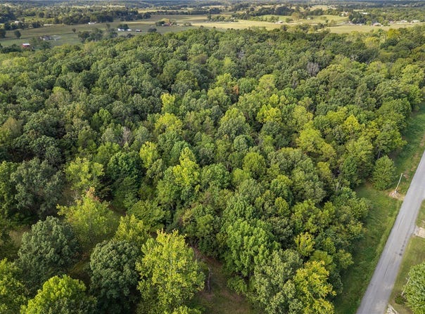 Rally Hill Drive, Valley Springs, AR 72682