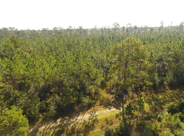 Comanche Road, Ragley, LA 70657