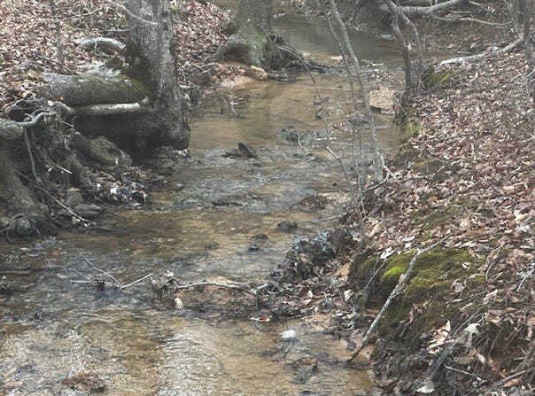 Coker Spur Rd, Red Bay, AL 35582