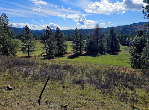 2068 ADDY-GIFFORD Rd, ADDY, WA 99101