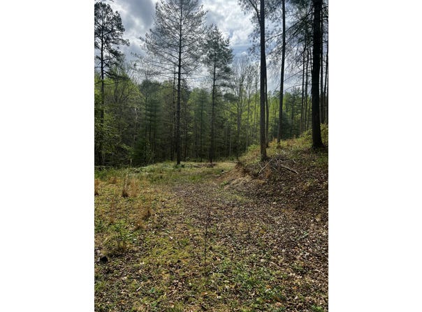 Sunset Valley lot: 105, Campton, KY 41301
