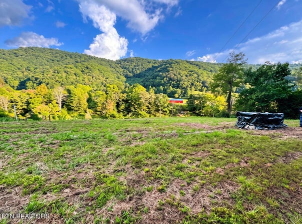 601 Vardy Blackwater Rd, Sneedville, TN 37869
